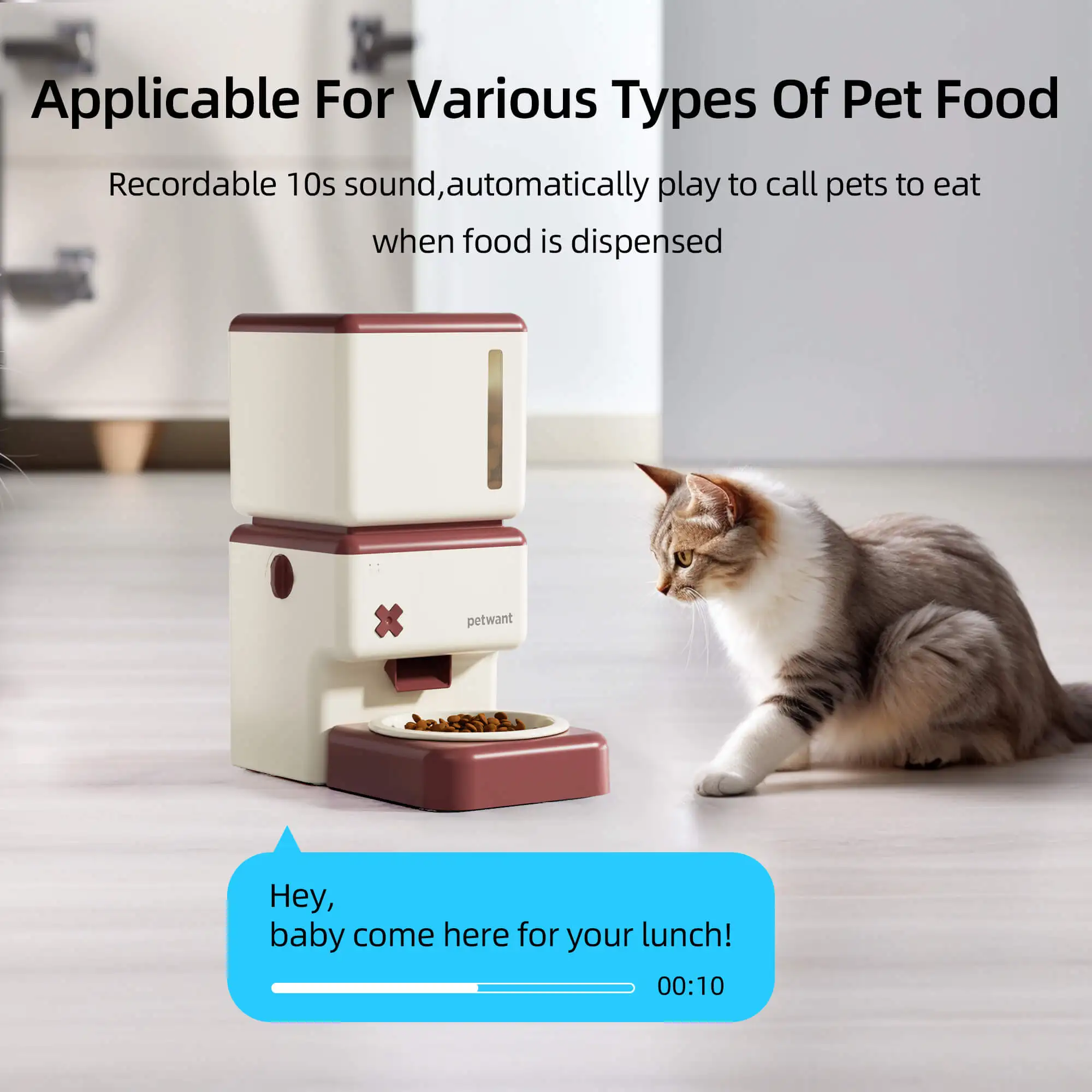 hot saltPetwant 3.5L Visual WIFI APP Remote Feeding Timed 10 Meals 10 Portions Automatic Pet Cat Dog Feeder