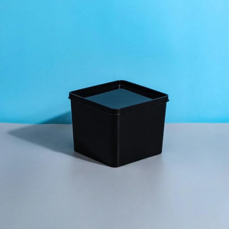 Transparent Square Plastic Box with Lid Small White PP Seasoning Storage Organizer Box Large Capacity Storage Container Box