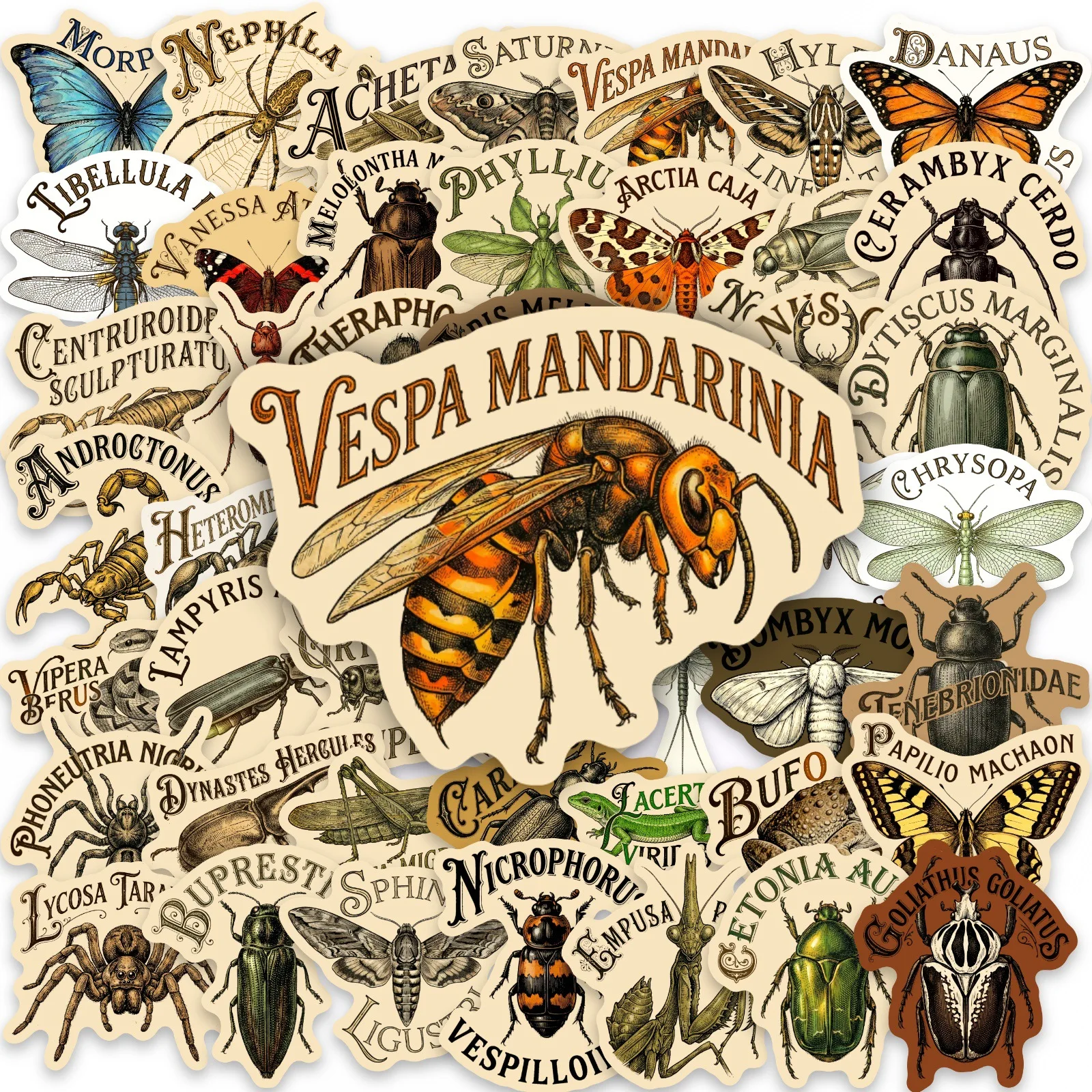 

50-100PCS Aesthetic Hand-drawn Retro Nature Insect Specimen Sticker, Waterproof Decor Decals for Skateboards Notebooks Laptops