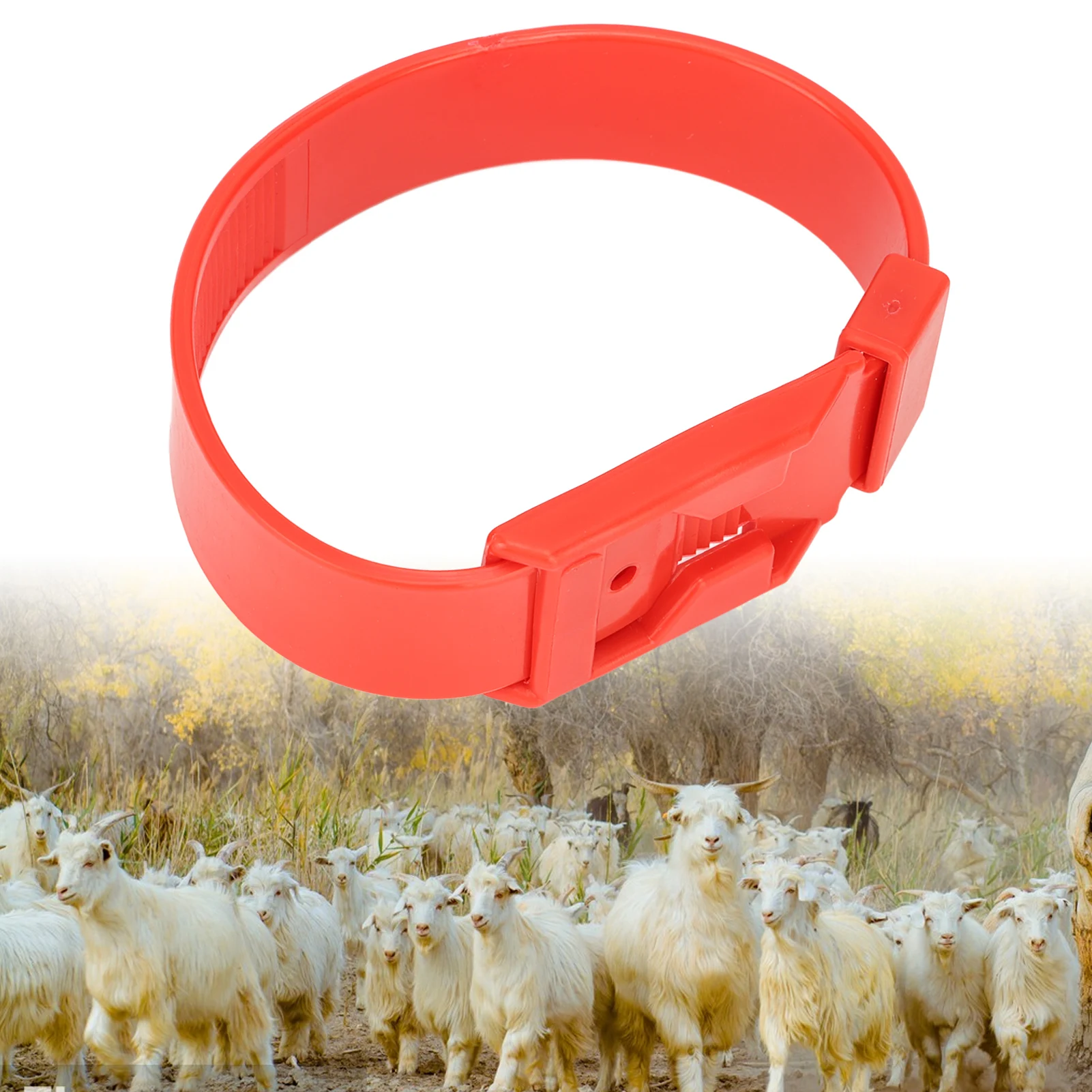 

10Pcs Goat Leg Ring Sheep Identification Bands Livestock Marking Ring Farming Equipment 36cm