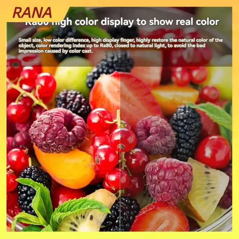 RANA クリップオン LED イーゼルライト、Clearsun LED テクノロジー、クランプライト、精密照明用の調整可能で柔軟なネック