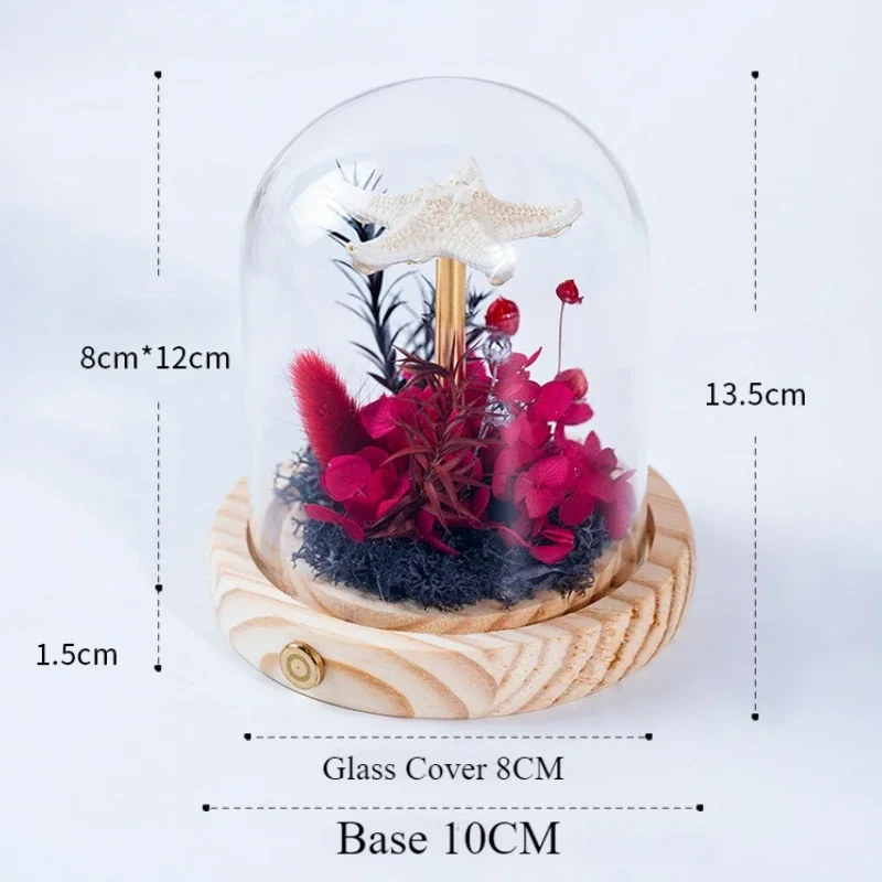 Cute Night Light DIY Material Pack Luminous Sea Urchin Shell Jellyfish Lamp Desktop Decoration Birthday Gift Night Light