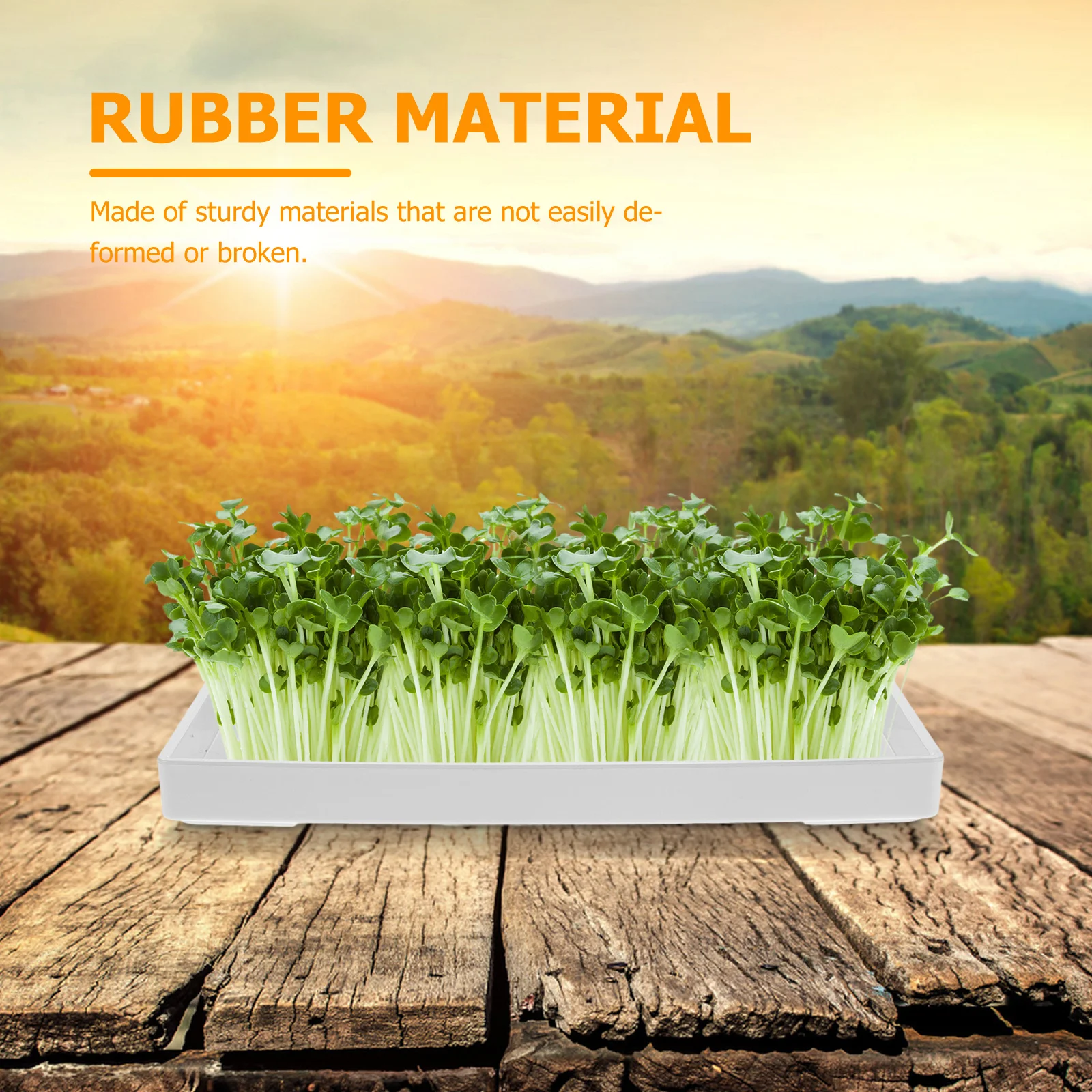 

Mason Jar Sprouting Tray Reusable White Plastic Rectangle for Home Sprout Maker Easy Cleaning Kitchen Sprouting Trays Indoor