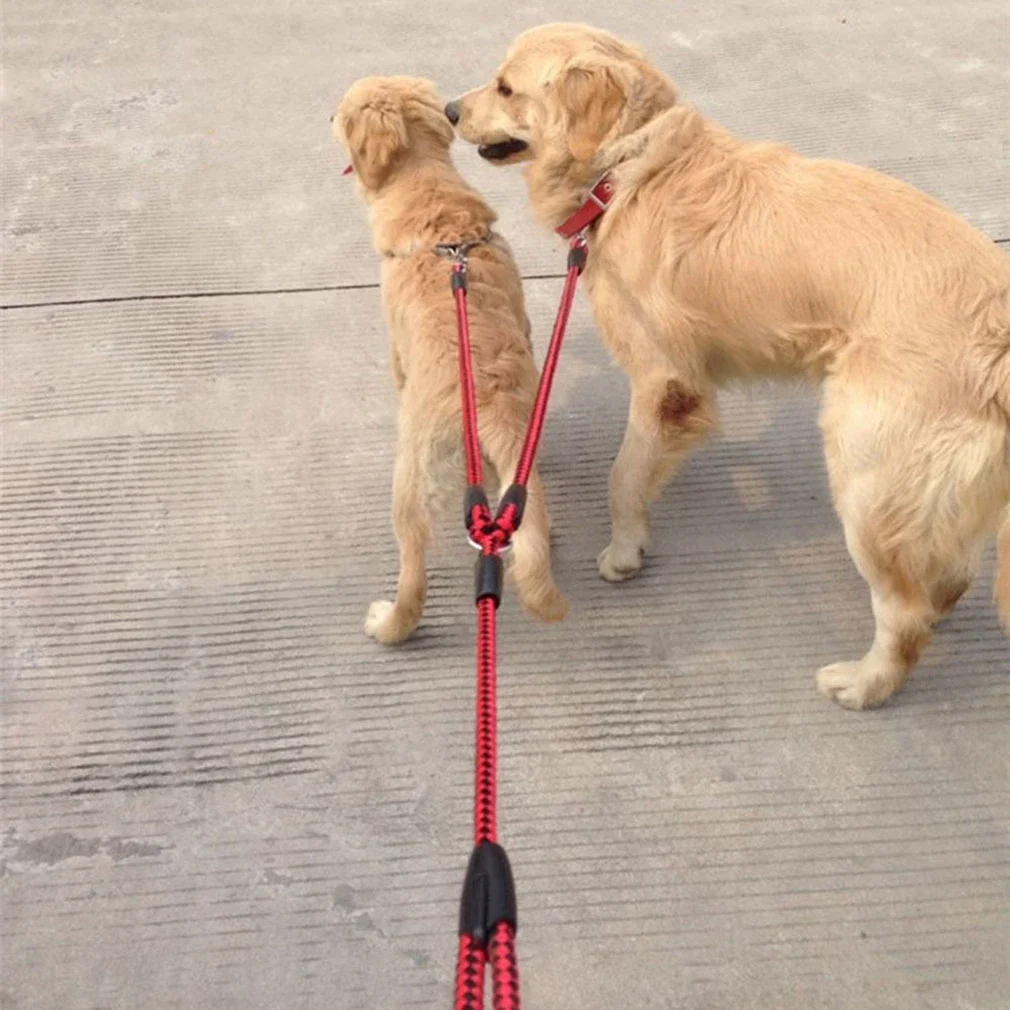 Laisse de chien double en ruban de nylon, ULde traction de sécurité pour animaux de compagnie, enchevêtrement tressé à une traînée, entraînement à la marche, taille réglable