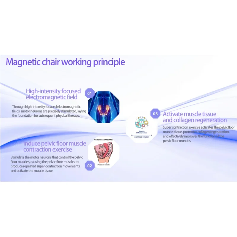 

Электромагнитный неинвазивный аппарат EMS для восстановления после родов: стимулятор мышц тазового дна, тренажер для укрепления мышц тазового дна