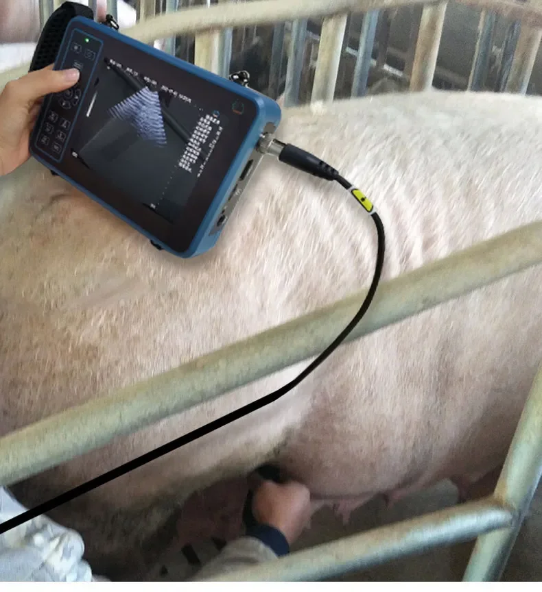 Livestock Veterinary Ultrasound Machine Pig Sheep Cattle Animal B Ultrasound Pregnancy Detector HD Portable Pregnancy Detector