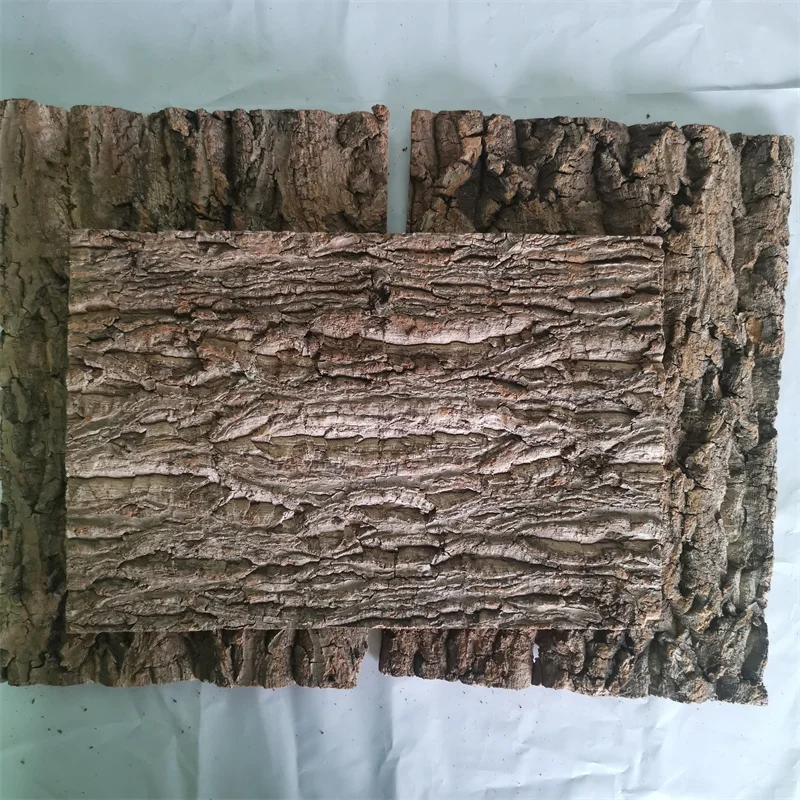 Natural Tree Bark Wood Drift wood for Aquarium Champagne Bark Drift wood Fish Tank Landscaping Aquarium Drift wood Accessories