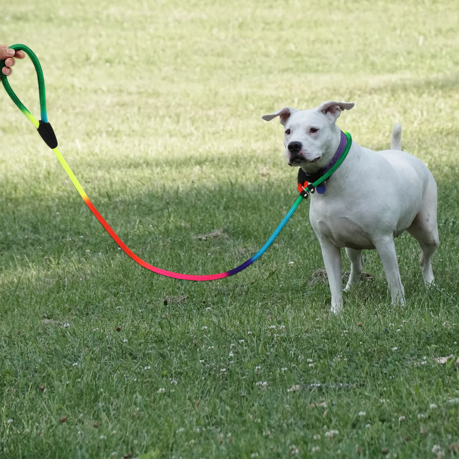 

Adjustable Nylon Dog Leash Portable Outdoor Pet Walking Strap Durable Secure Puppy Lead for Small Medium Large Dogs Pet Leash