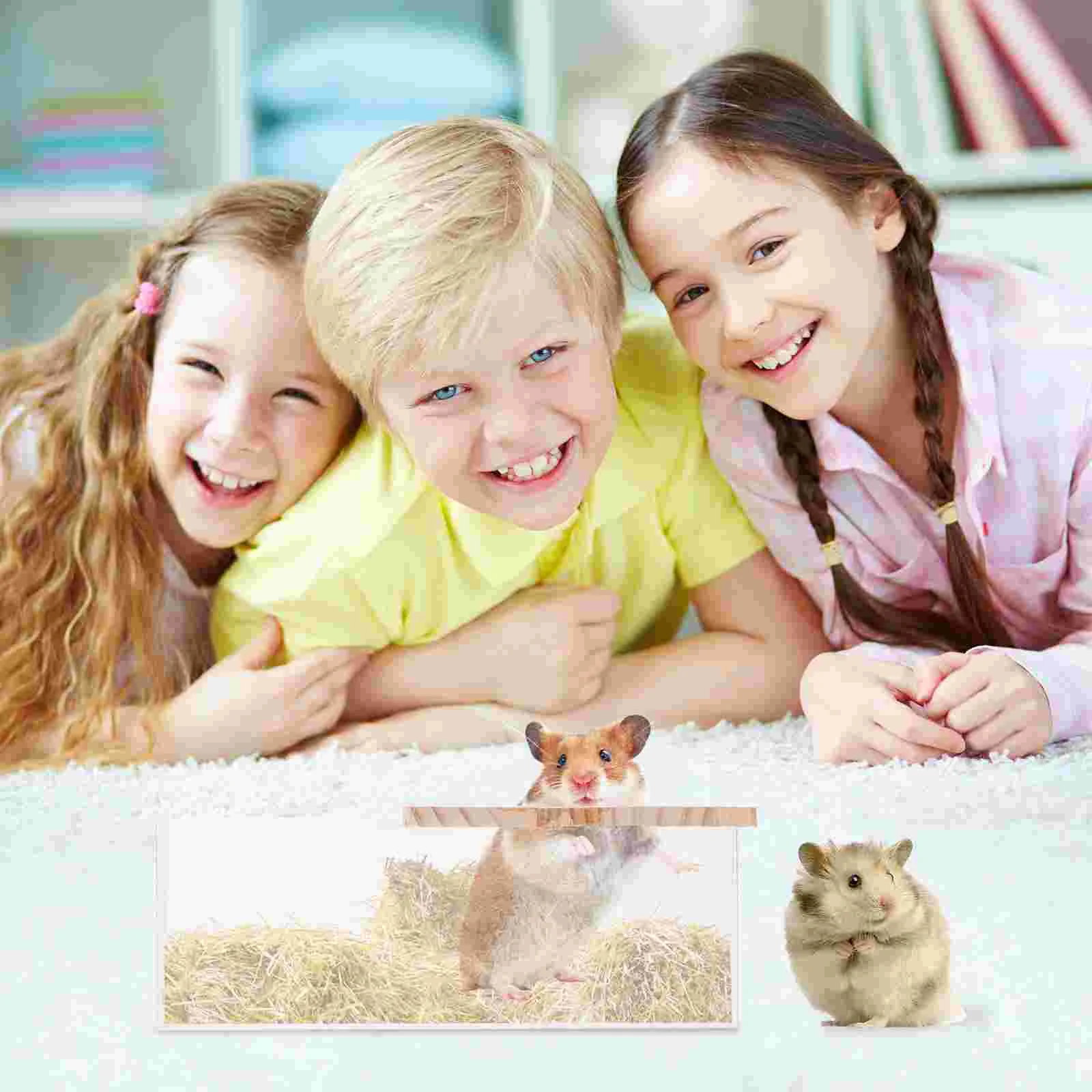 

Gerbil Hamster Sandbox Rubbish Bin Swimming Pool Toys Wooden Bathtub Pet Bathing Basin