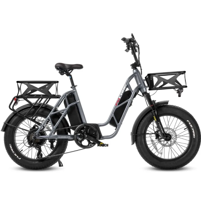 

Hot Sale Good Quality 48V 750W 50km/h Fast Speed 20 Inch Fat Tire Long Range Food Delivery Electric Cargo Bike