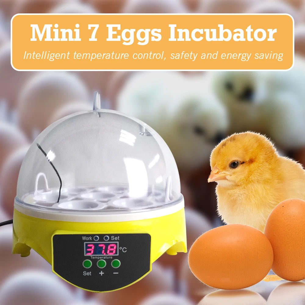 7 Eggs Automatic Egg Incubator Brooder 110/220V Poultry Incubator with Digital Intelligent Temperature Control Heating Equipment