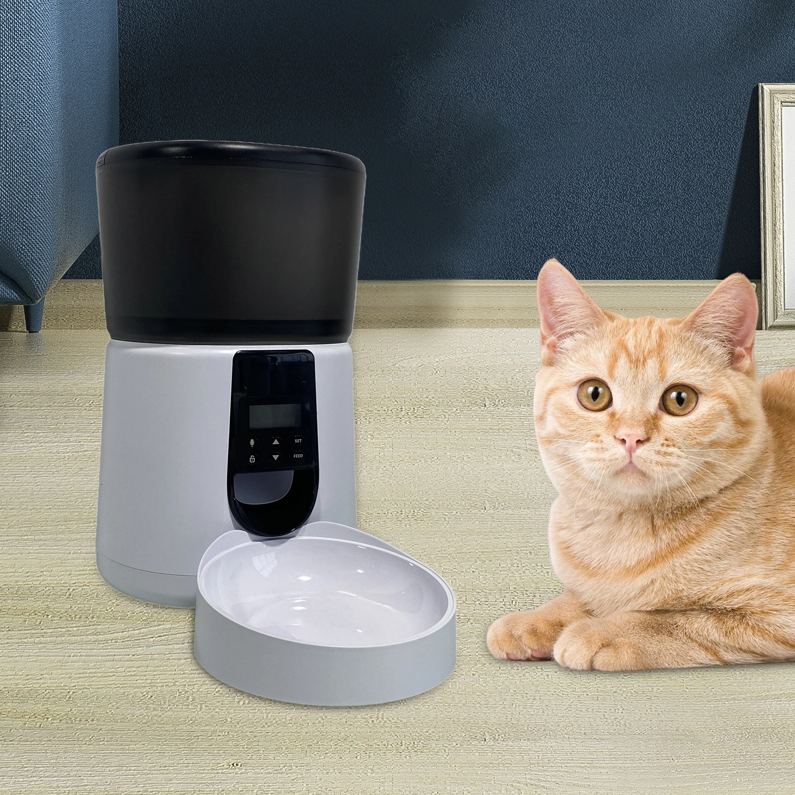 Automatic Dog Feeder Anti Stuck Design Pet Feeder for Cat Dog for Japan Plug