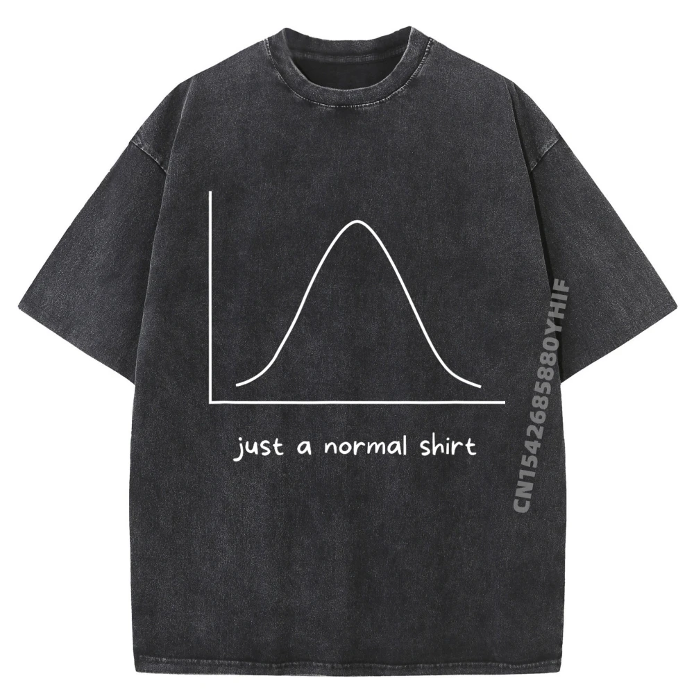 

Just A Normal Computer Science Tees Graphic Minimalist Loose Short Sleeve Luxury Designer women's T-shirt Man Washed Tee-Shirts
