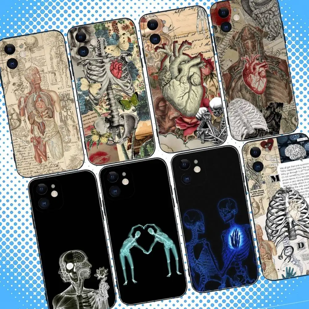 

Medical Human Anatomy Phone Case For iPhone 17,16,15,14,13,12,11,Pro,Max,Plus,Air,X,XS,XR,SE,8,7,Mini,Soft Black Case