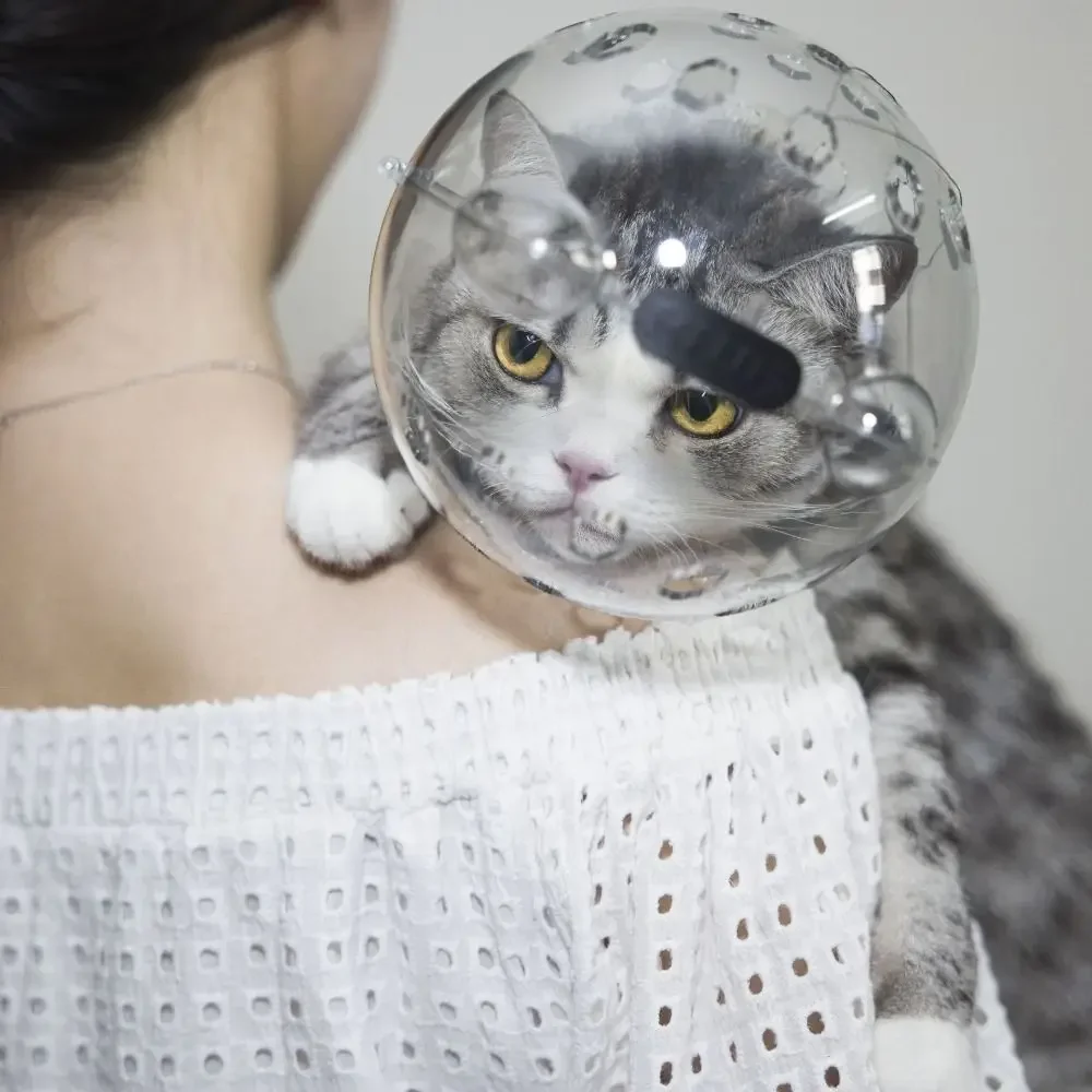 

Чехол на голову кошки, космический капюшон, защитный шлем для котенка в форме шара, дышащая прочная маска-головоломка, защита от укусов домашнего животного