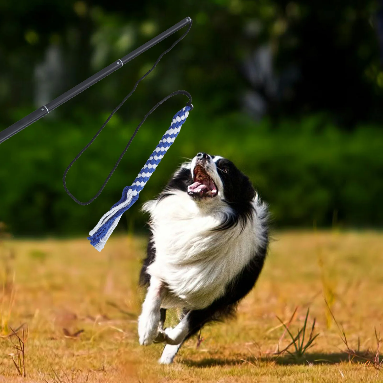 

Interactive Dog Teaser Extendable Flirt Pole Size L Black for Training Exercise Chasing Tail Puppy Pet Interactive Puppy