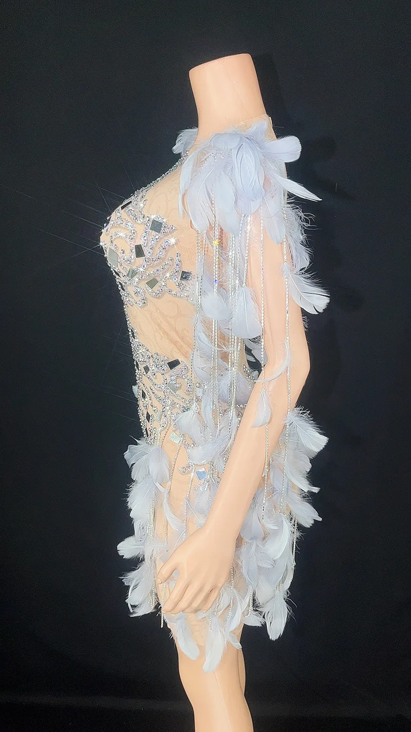 Robe de Soirée Moulante en Dentelle et Plumes à Paillettes, Tenue Personnalisée, Transparente, à Haute artificiel asticité, à Manches Courtes, Sexy, pour Spectacle sur Scène