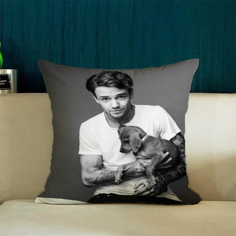 L-Liam James Payne Cover for Pillow Covers Decorative Luxury Cushion Cover Bed Pillowcases 45x45 Cushions Covers Home Decoration