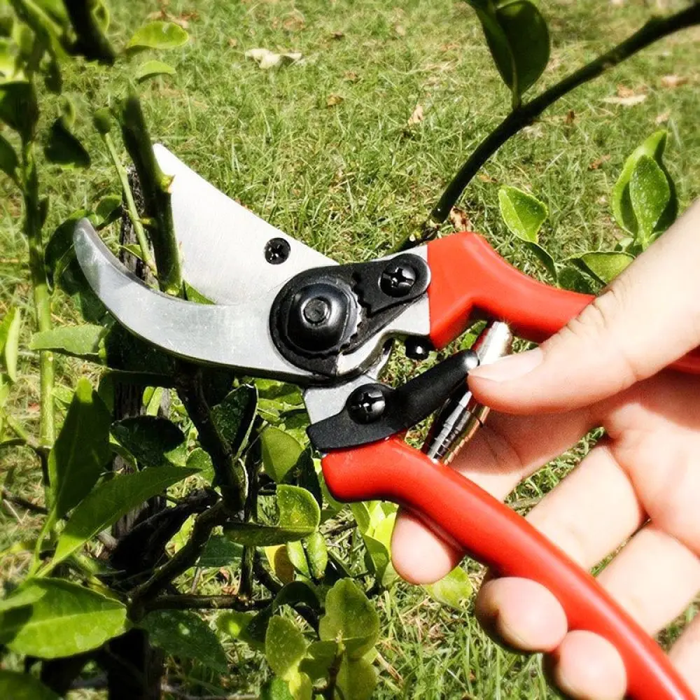 Manual Garden Pruning Shears For Chengguan Fruit Tree Cutter Ergonomic Horticultural Tool Bonsai Flower Scissors