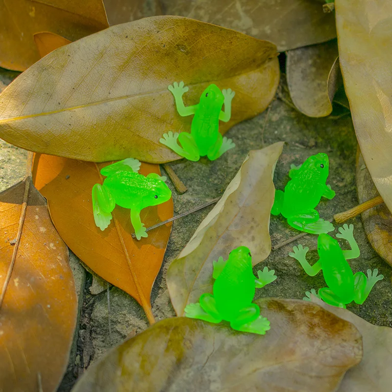 Jouet de simulation de grenouille en caoutchouc souple TPR, parodie, modèle animal, ornement translucide, jouets à presser effrayants délicats, cadeaux pour enfants, 5 pièces