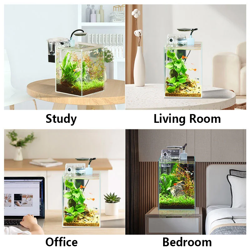 Desktop Small Fish …