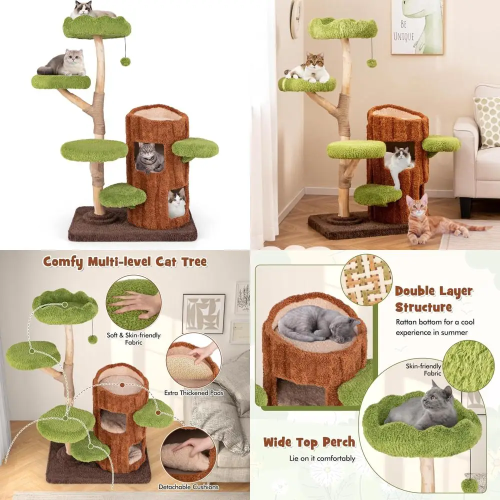 

Прочная деревянная кошачья елка с когтеточками, 2-уровневая кондо и сизалевой панелью