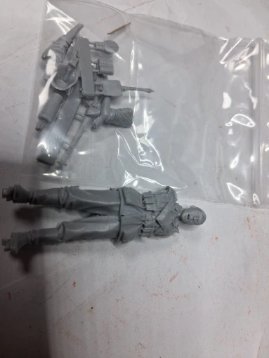 Buyer photo of this resin kit