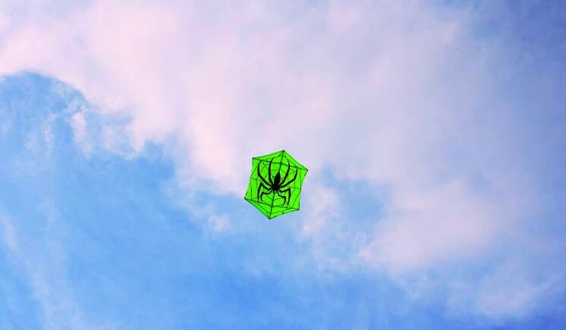 성인용 스파이더 연, 야외용 장난감, 낙하산 연, 육각형 연, 어린이용 연, 파일럿 연, 재미있는 연