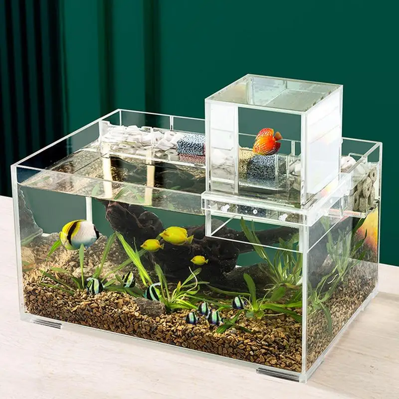 Fish Aquarium Tank Small Transparent Fish Elevator Tank Lightweight Acrylic Inverted Above Water Fish Tank Aquariums & Fish