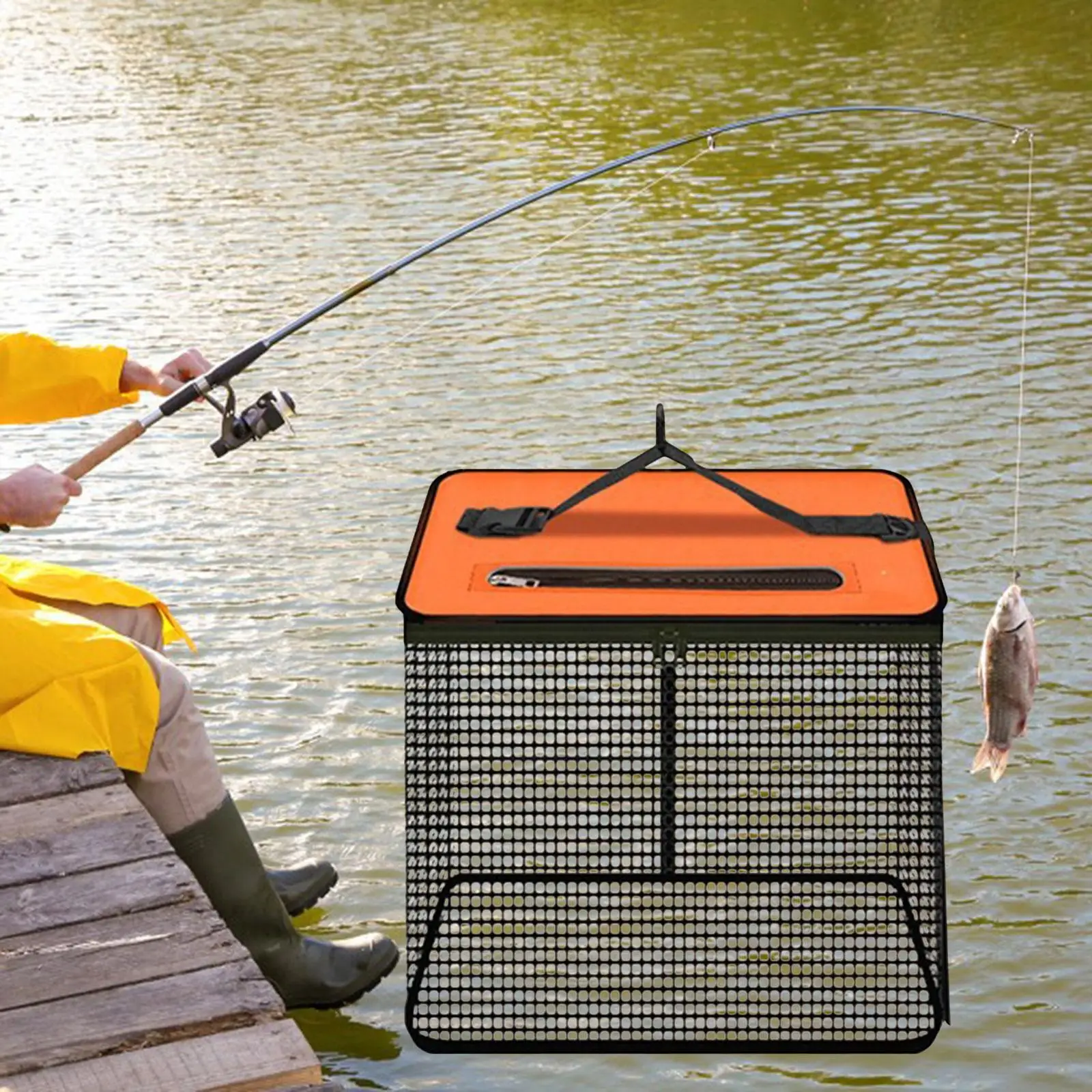 

Fish Basket Multiuse Lightweight Fishing Protection Net for Minnows Crayfish
