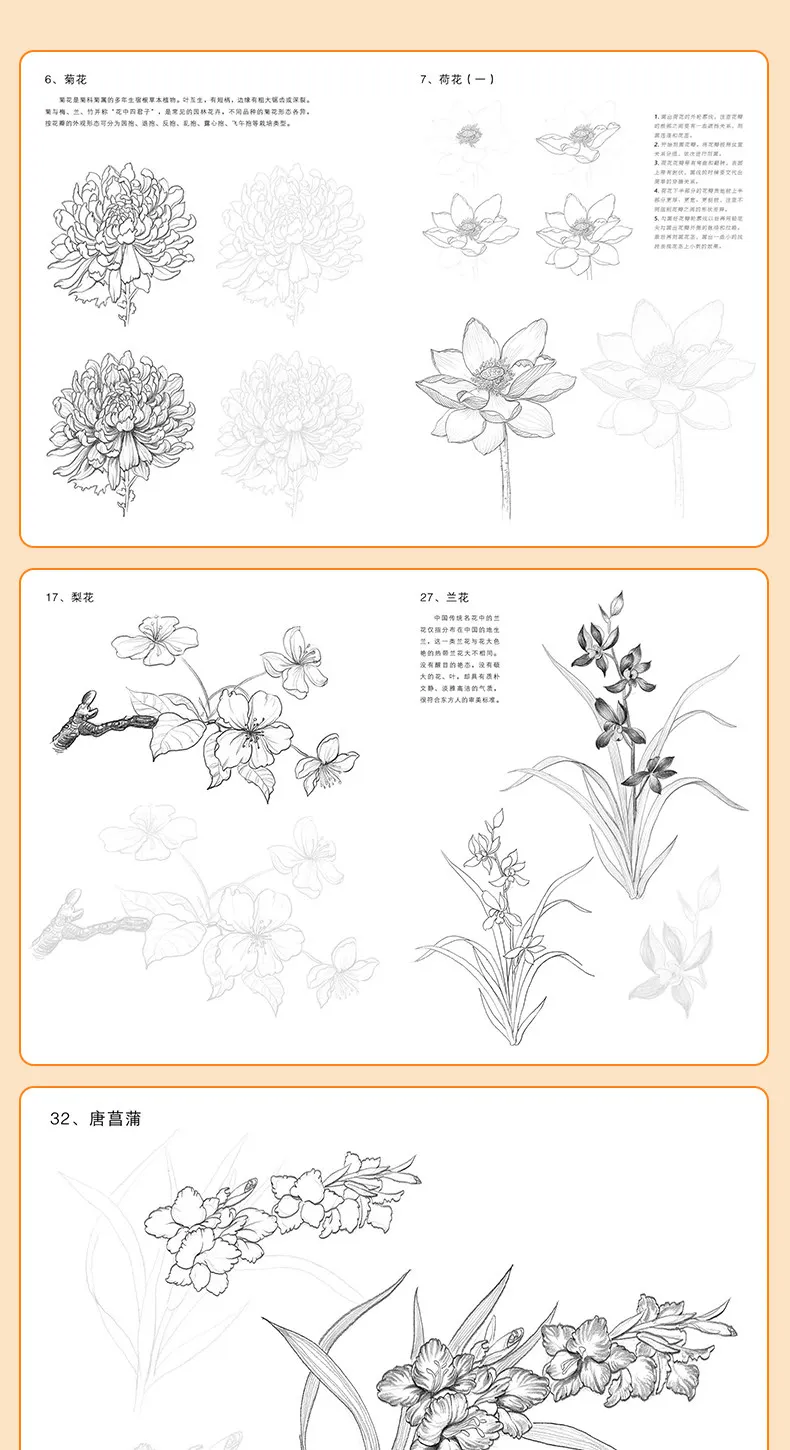 Blumen-Tier-Skizzen-Übungsheft, Null-Grundlagen-Zeichentutorial, Selbststudium, Linienkunst, Kopieren, Handzeichnung, Bleistiftskizze, Aquarell, Neu – Detail 7