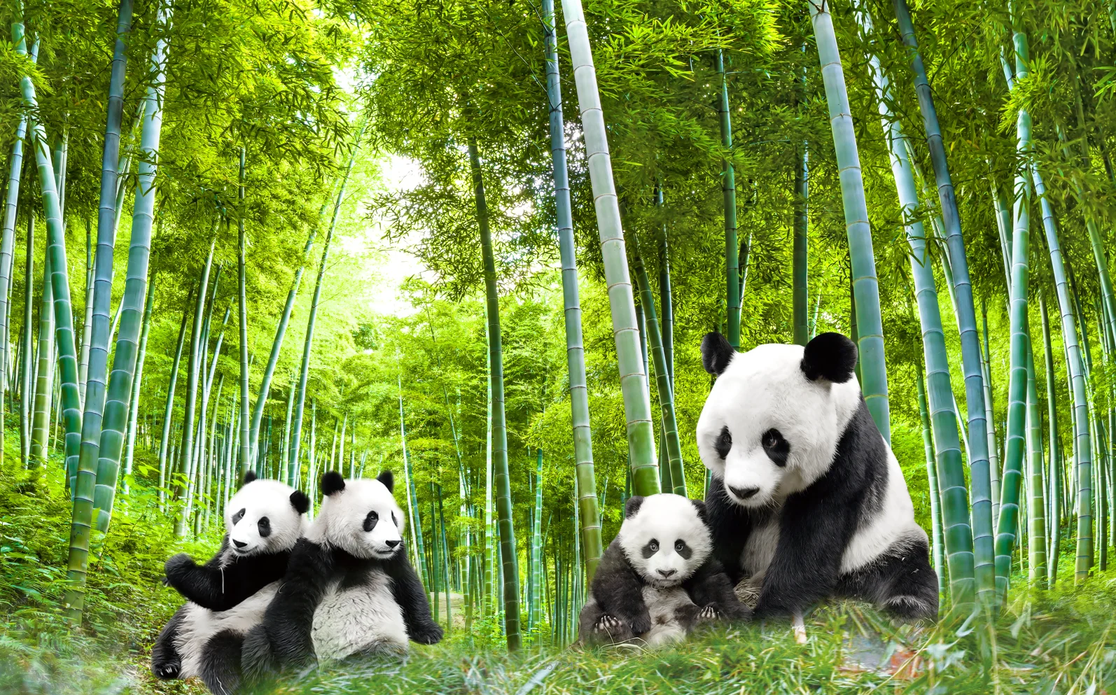 Customized Size Mural Natural Green Bamboo Forest Landscape Wallpaper Home Decoration Lotus Panda Bamboo Decoration wallpaper