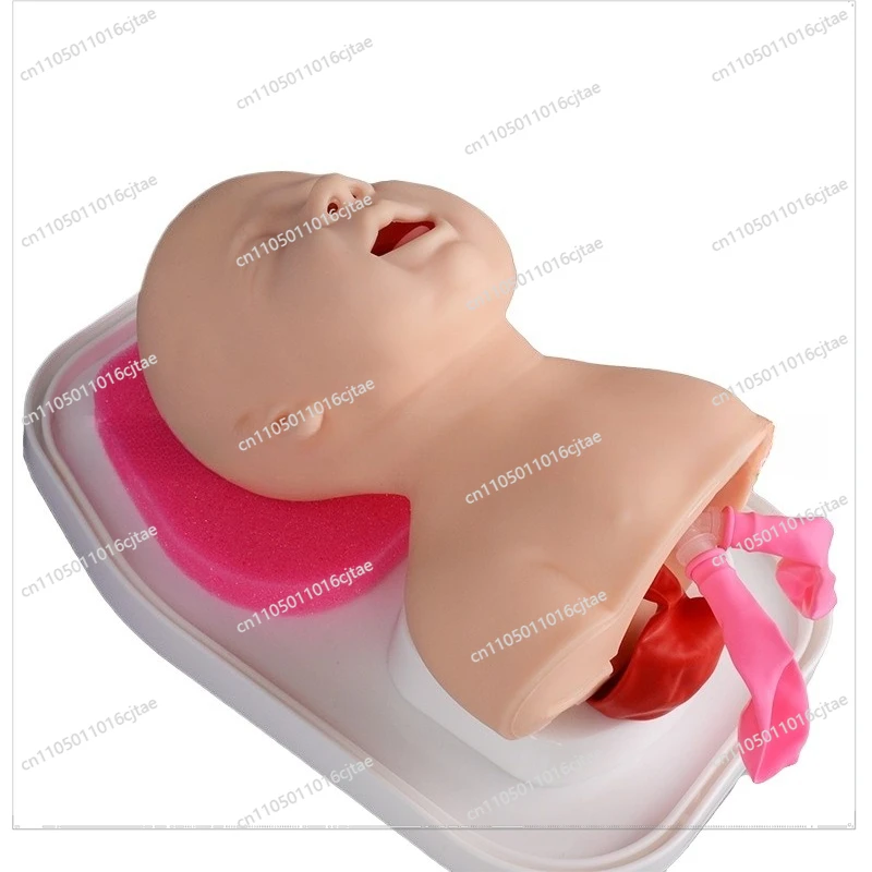 For Infant Endotracheal Intubation Model, Newborn Infant Endotracheal Intubation Model, Newborn Infant Intubation Training Model
