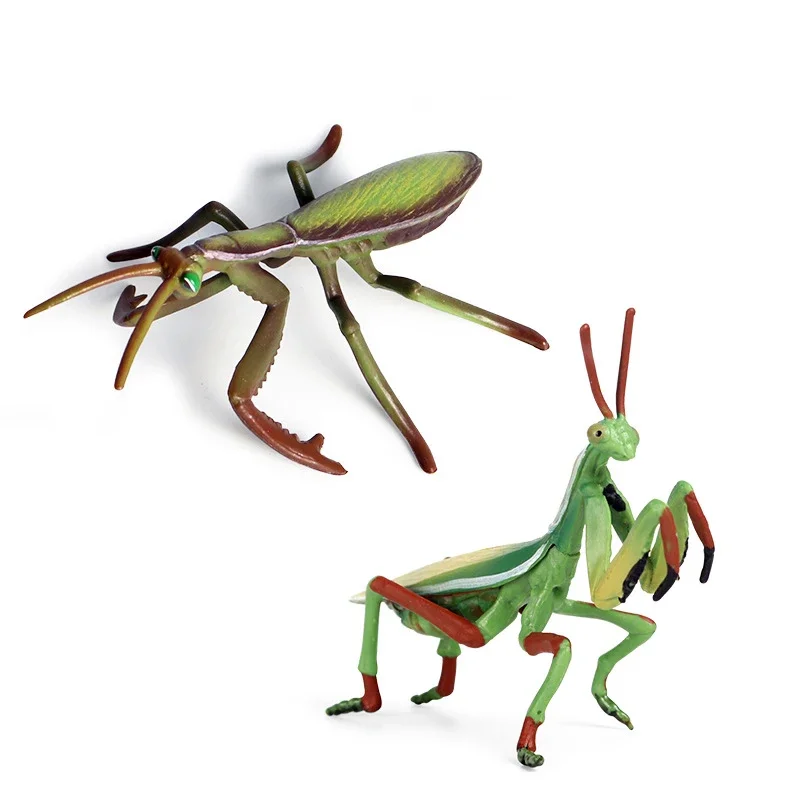 

HOT SALE Simulation Animal Insect Model Realistic Fake Praying Mantis Grasshopper Wasp Prank ToysFun Halloween Decorations