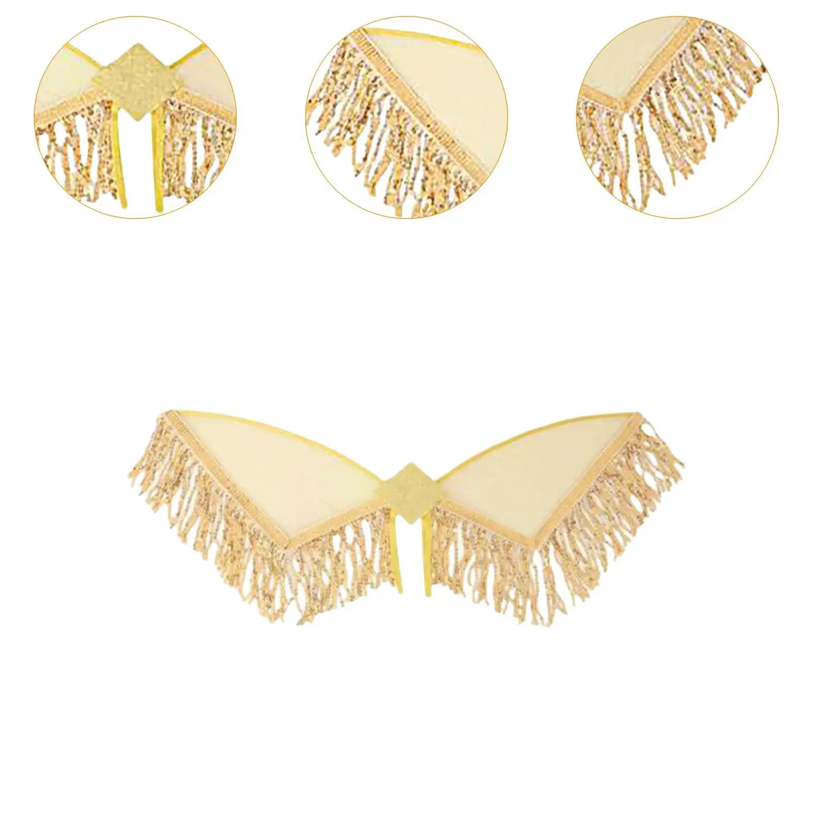 Sequin Tassel Wing Role Play Stage Dress up Cosplay Fringed Fairy Wing for Festival Birthday Themed Parties Masquerade Holiday