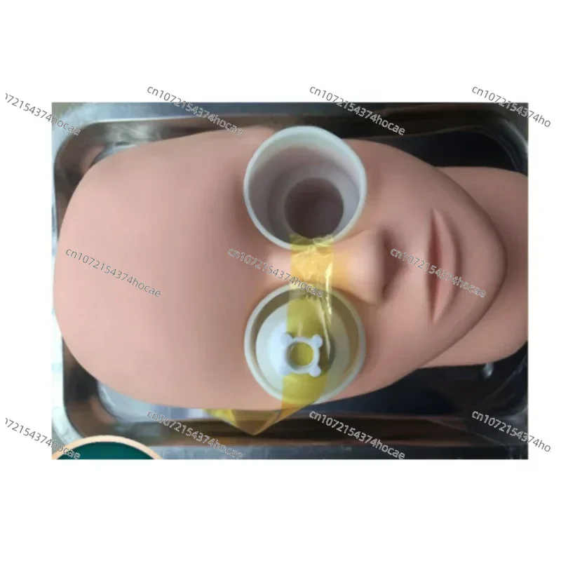 Ophthalmic Head Simulation Practice Model 1PcsOphthalmic Capsulorhexis Model  for Cataract Capsulorhexis Pig Eye Practice Model