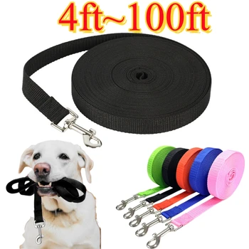 Product Title: Nylon Training Dog Leash 1