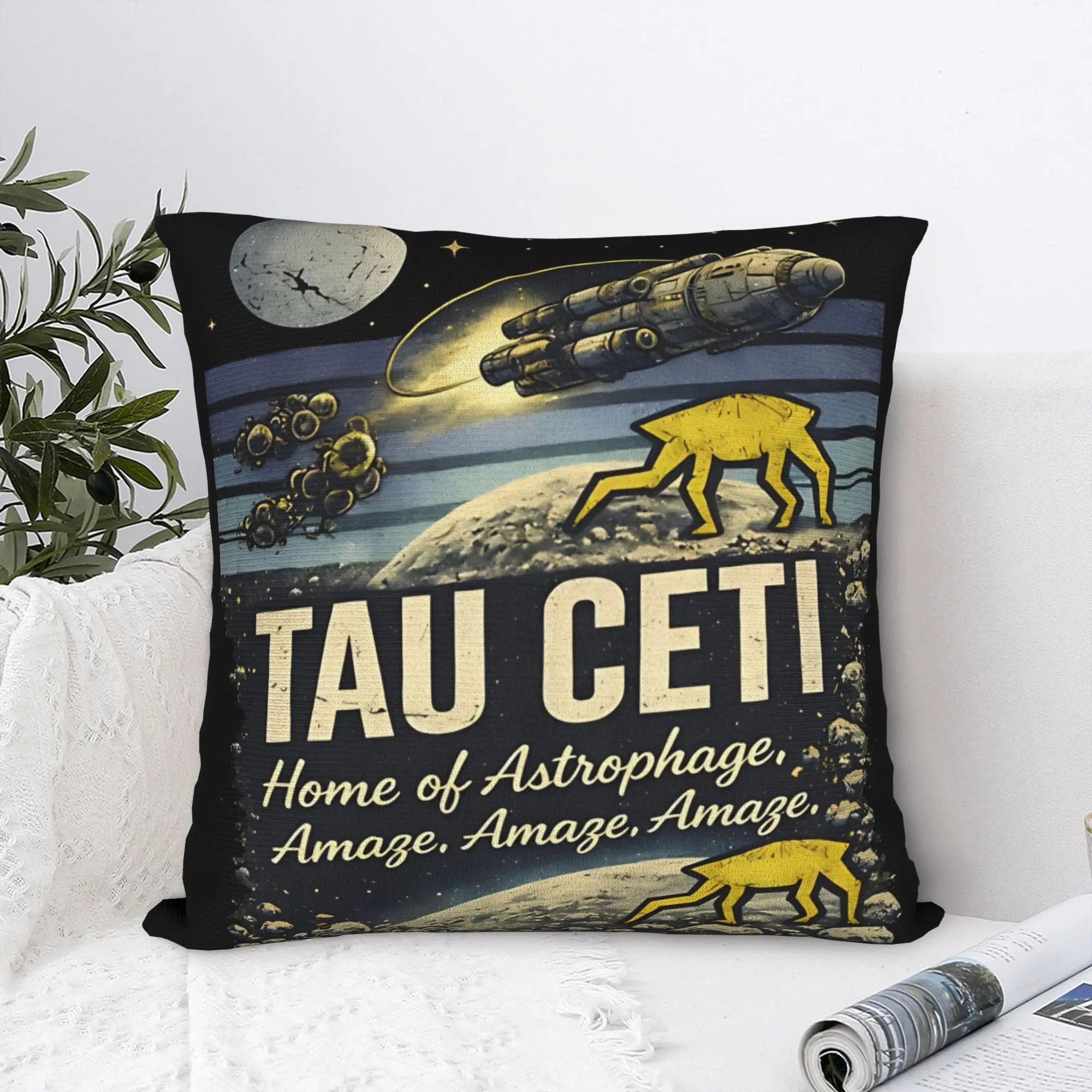 Project Hail Mary Pillow Case  Custom Pillow Cover For Couch Sofa Bedroom Funny Pillowcases
