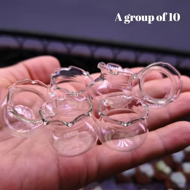 

Set of 10 Plastic Vases, Lace Aquarium Garden, Desktop Decorations, Craft Materials