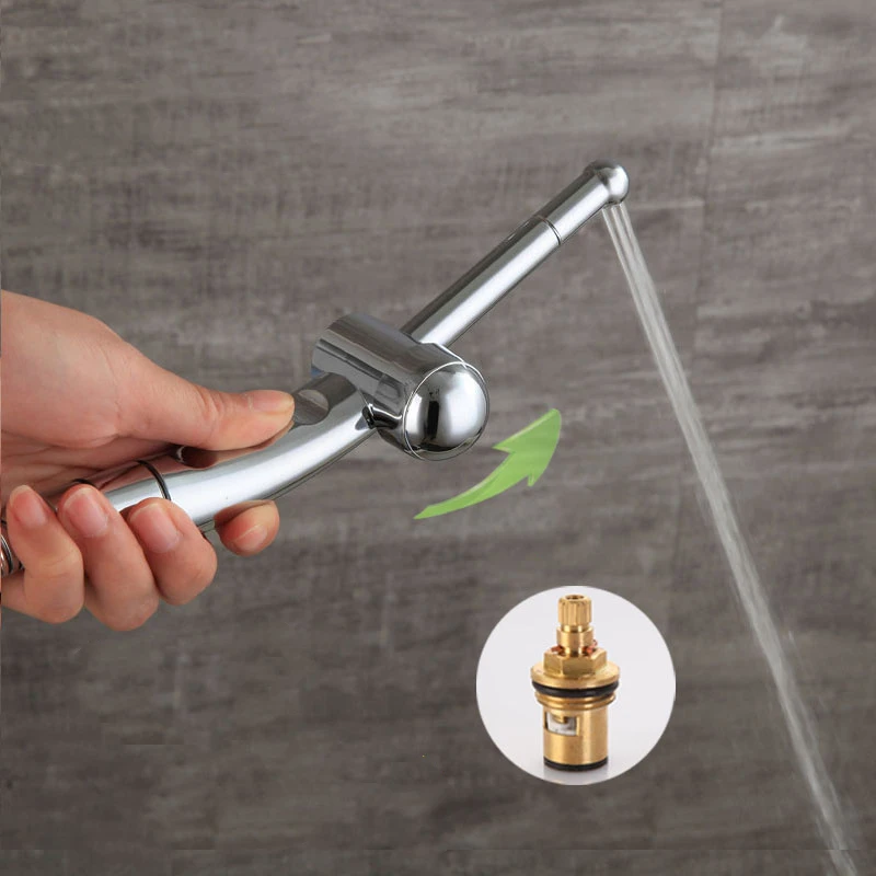 Shower Clean Body Woman Washer Spray Gun Head Vagina Flushing Toilet Bottom Vaginal Anal Implement Shower Head Bidet Set Origin