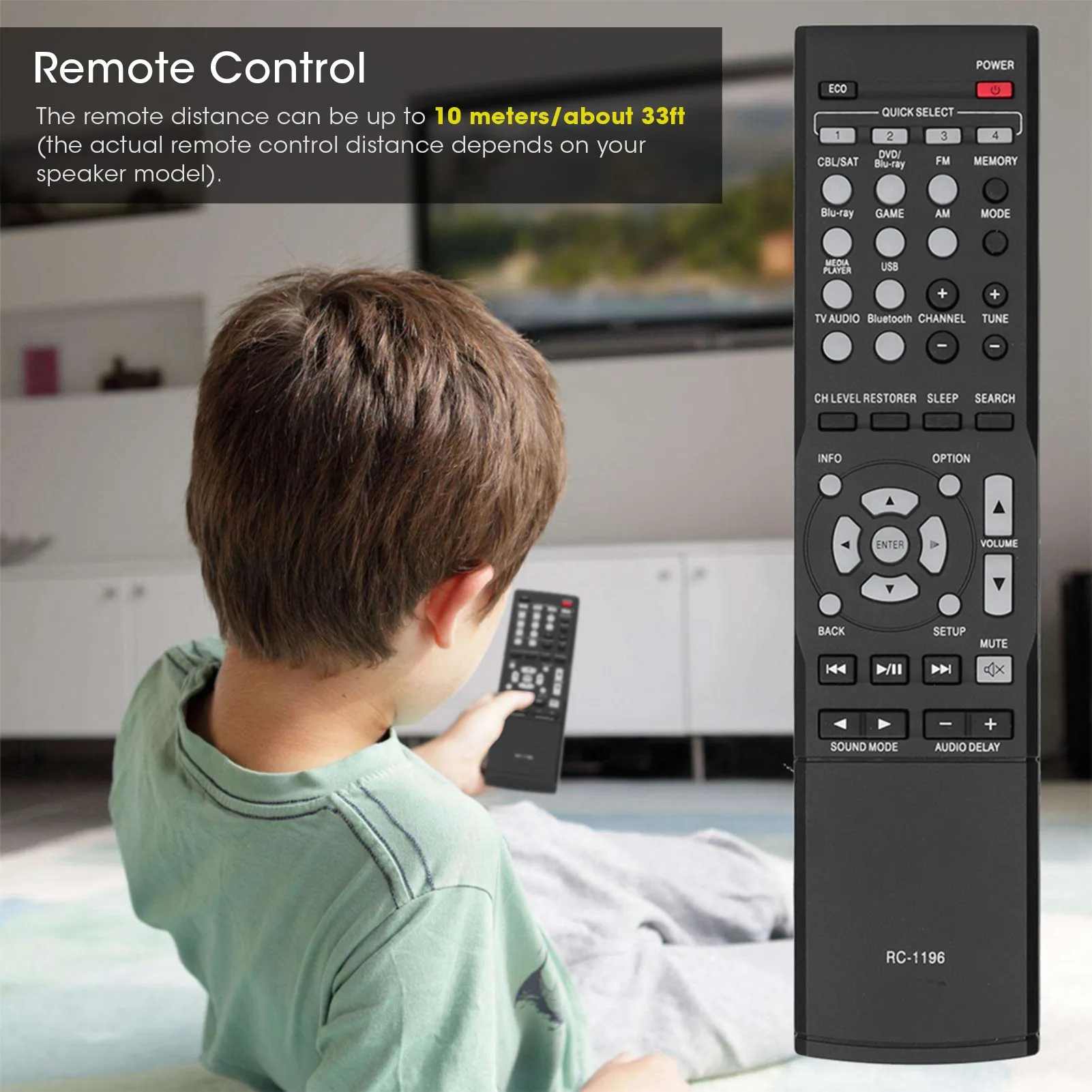RC1196 Remote Contr…