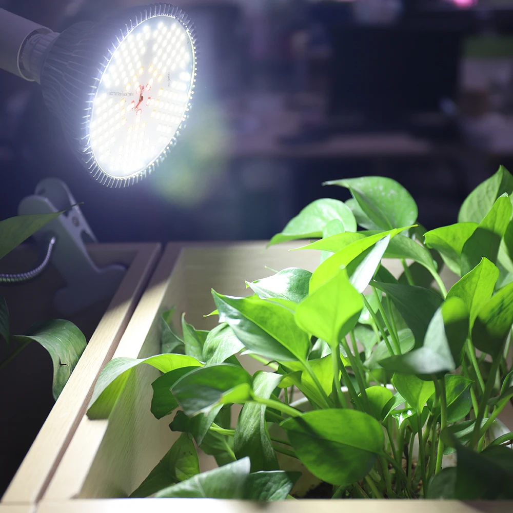 120W Phytolamp Full Spectrum Growing Led Lamp Indoor Plant Vegetable Garden Flower Hydroponics Grow Tent Box Grow Light