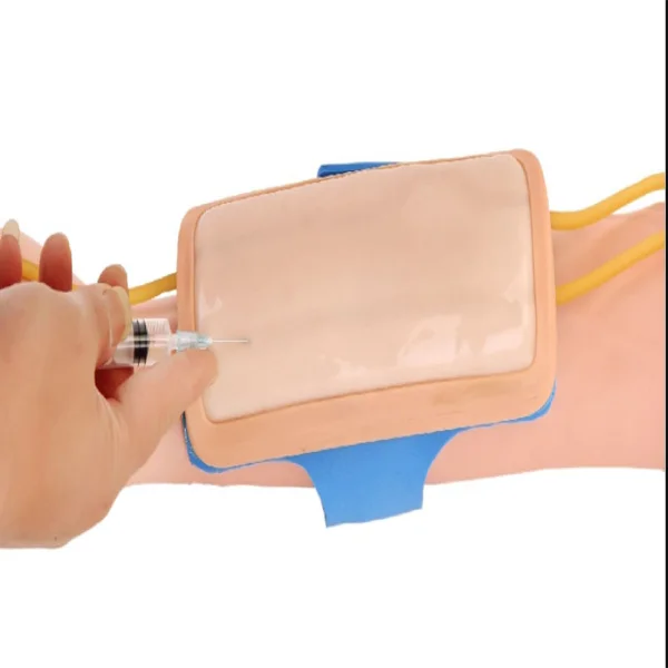 

I.V. Тренажер для инъекций, медицинская научная куртка для предплечья, переносная модель, учебные пособия для медицинского колледжа