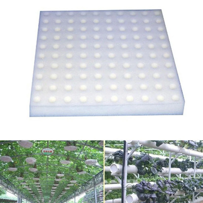 100 Pcs White Seedling Sponge Soilless Hydroponic Vegetables Cultivation Plant Nursery Pots Seedlings Cloning Collar Garden