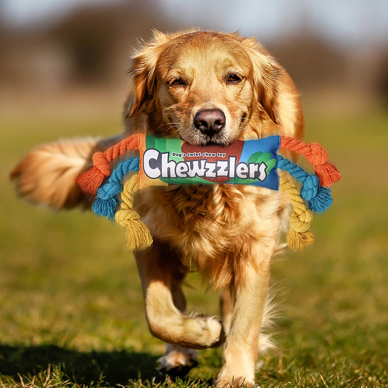 Thumbnail 2 - #9 Trending Squeaky Dog Toys Right Now