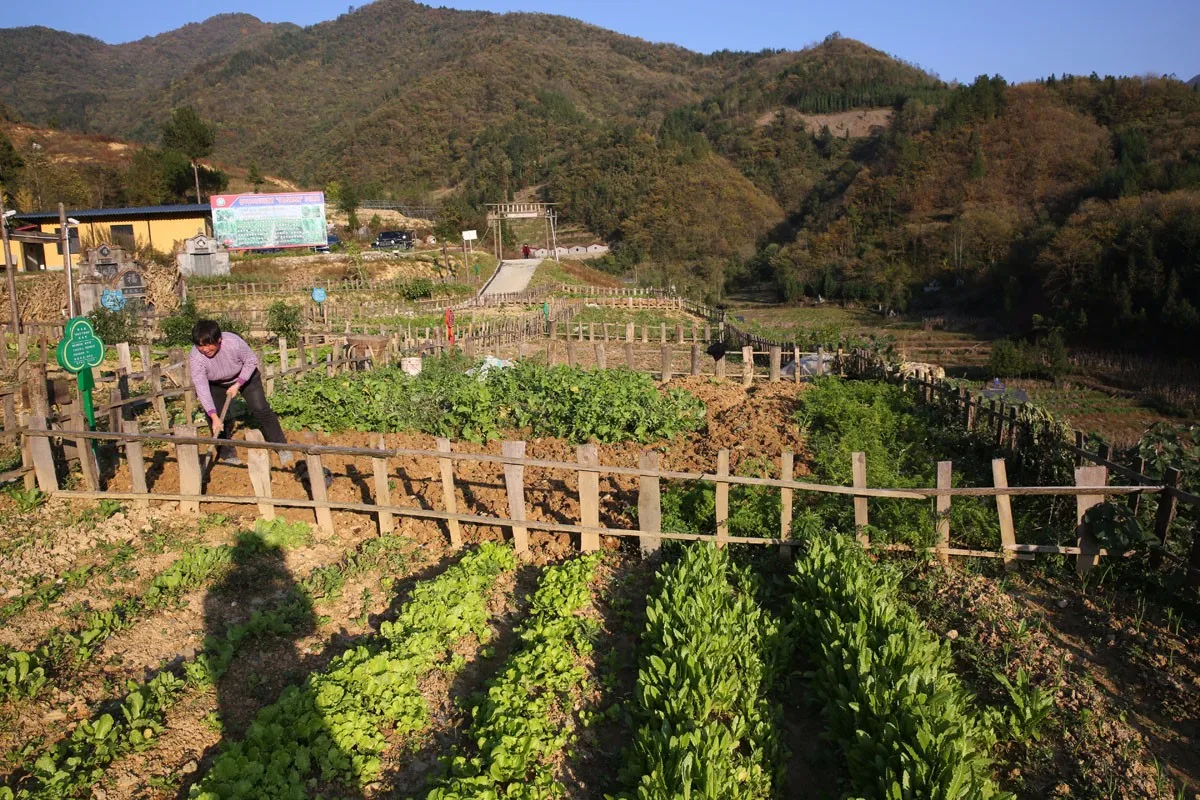 4 neumáticos de carretera de alta velocidad de 60 mm para MJX Hyper Go, neumáticos de goma suave con rueda para coche de turismo RC 1/14, piezas de mejora de bajo desgaste