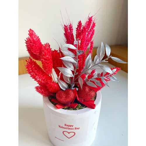 Besa Flowers Medium Size Concrete Pot Valentine 'S Day Artificial and Dry Flower