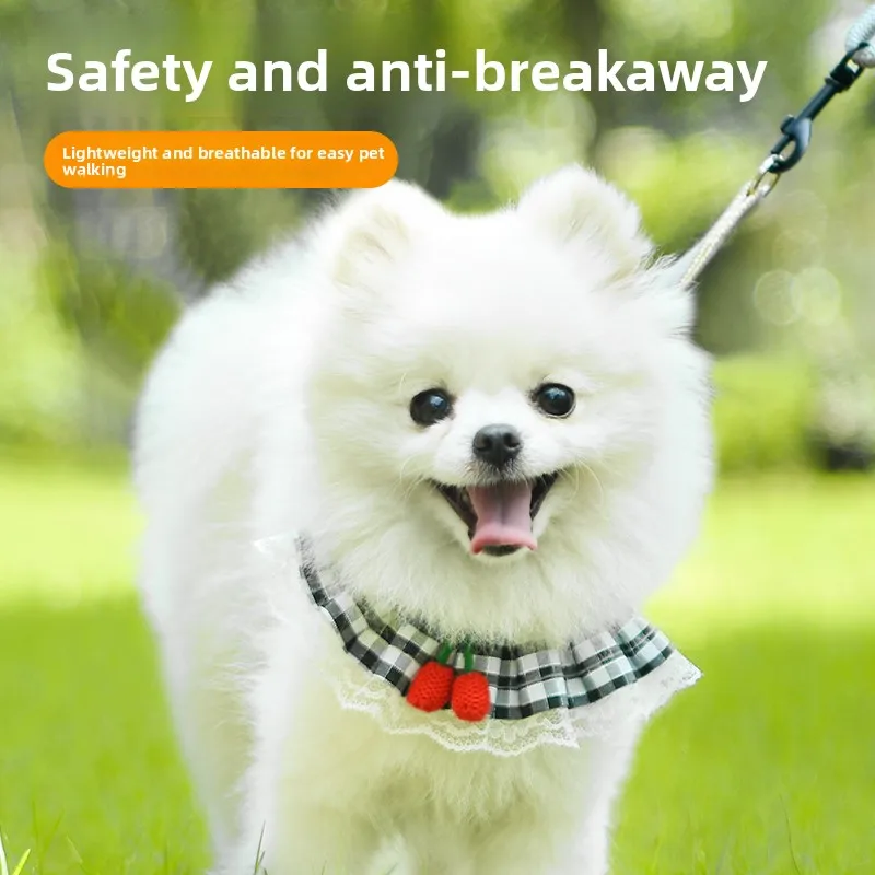 Hondenriem, borstband, kattenvest