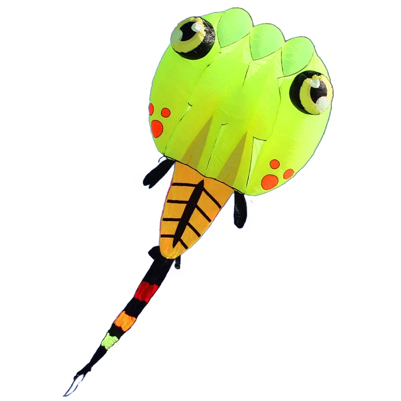 

Factory Customized Large Size Inflatable Kite Inflatable Show Kite 3d Inflatable Kite