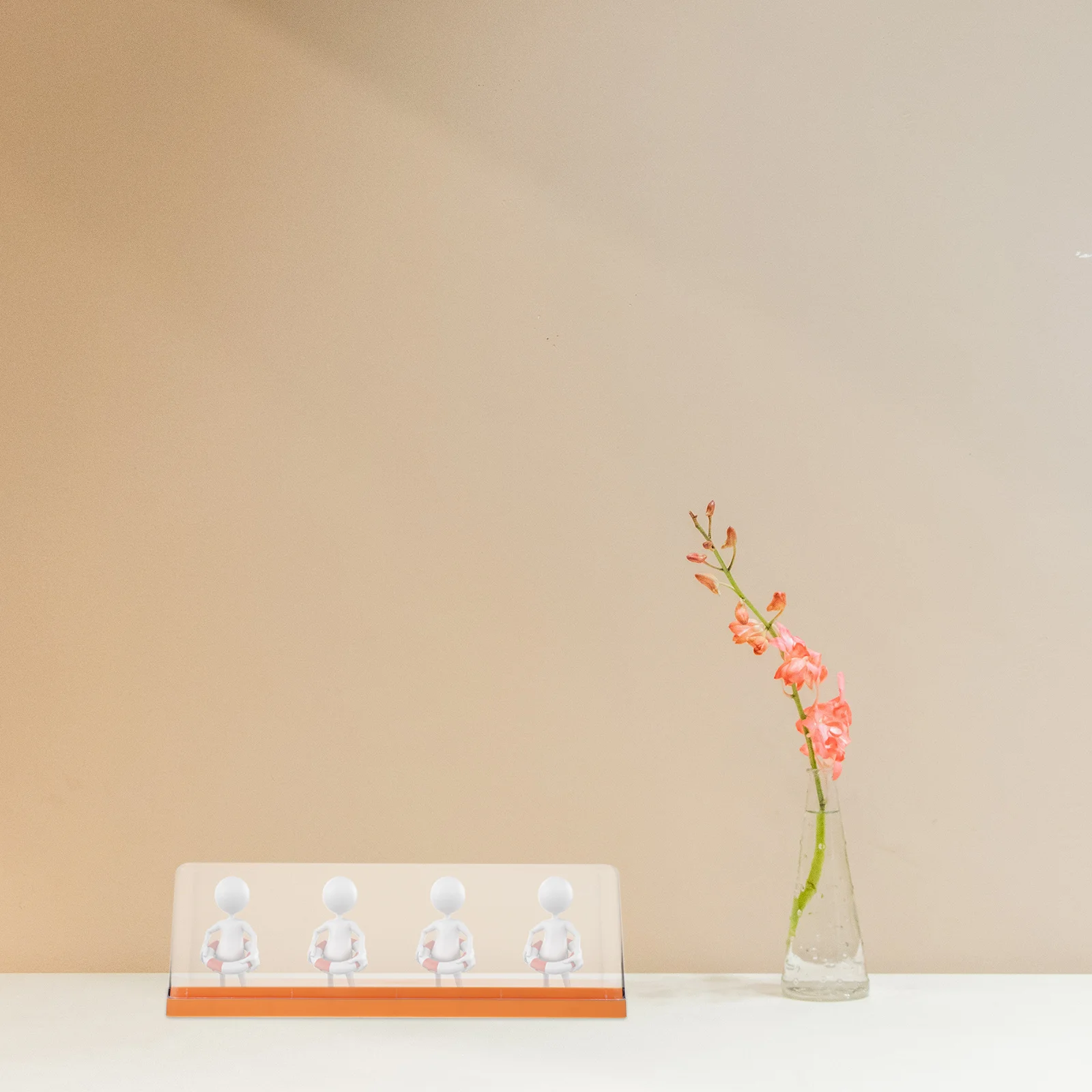 

Premium Plastic Transparent Display Case Sturdy Durable Easy Access Storage Box High Clarity Stackable Gift